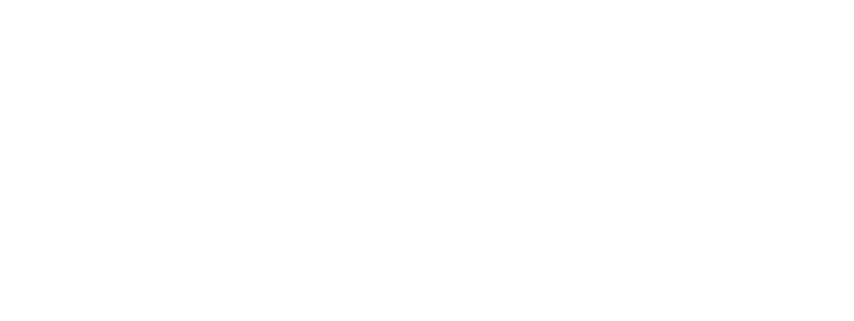 Diligend Logo_White